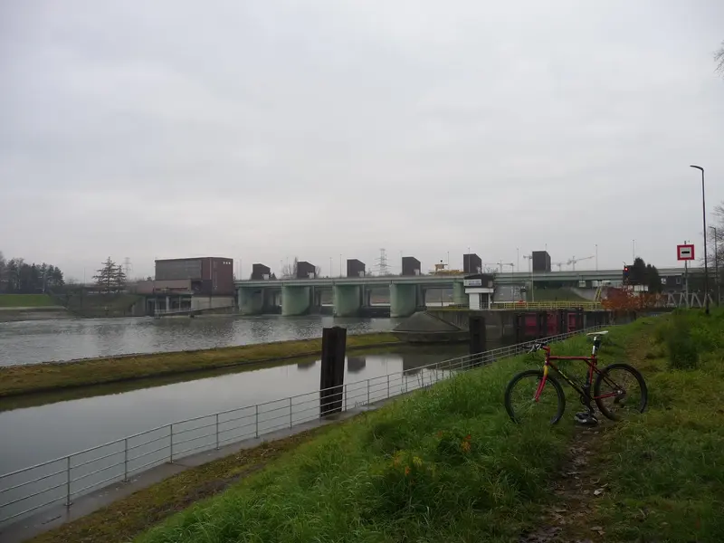 P1010255.webp