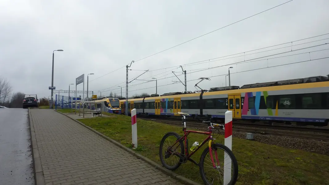 P1050127.webp