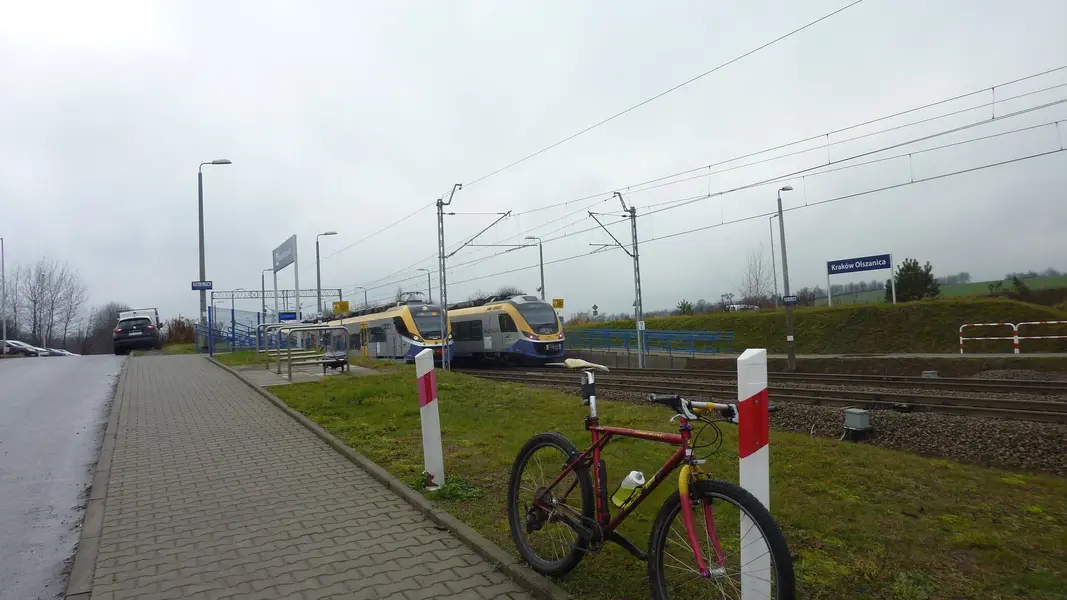P1050128.webp