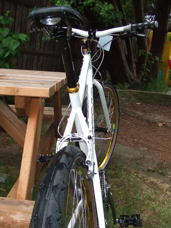 kona2.webp