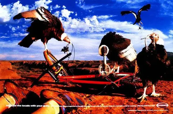 shimano-bicycle-components-vultures.webp