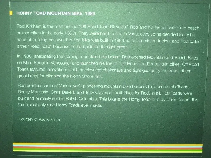 horny toad 2.webp