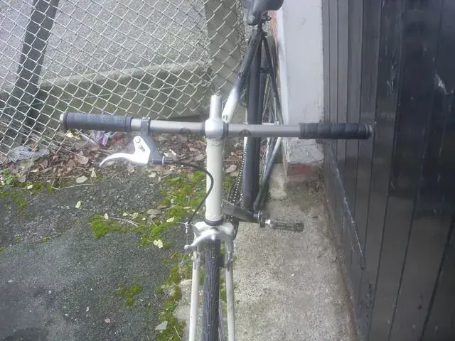 Picture002-4.webp