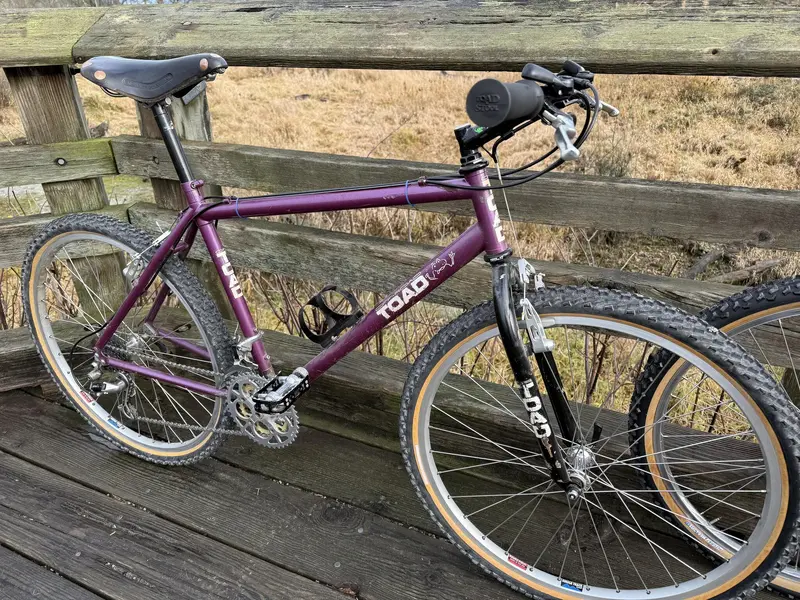 dec 8 2024 ride2.webp