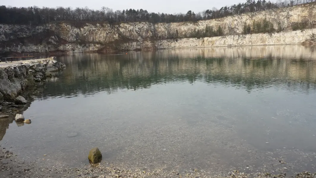 P1010271.webp