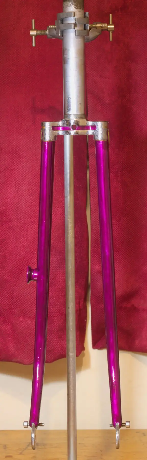 Front 1.2.jpg