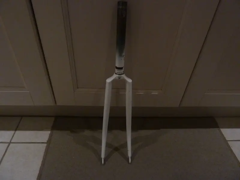 P1030519.webp