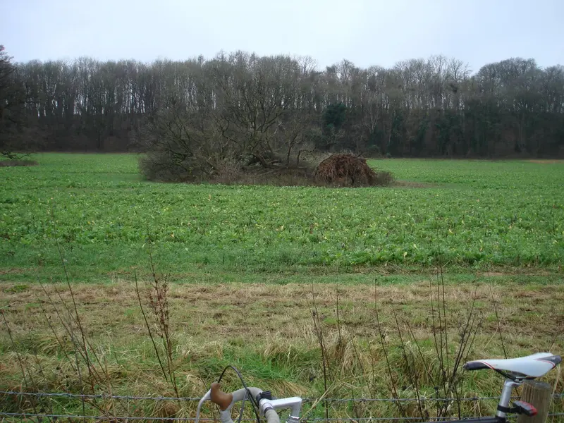 DSC01372.webp