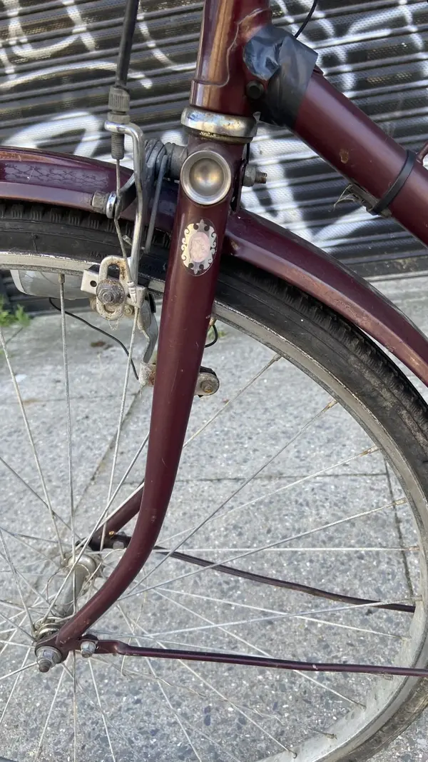 Vintage-Raleigh-Cameofront-scaled.webp