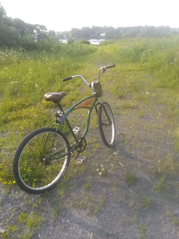 276736-IMG-20240803-074223578.webp