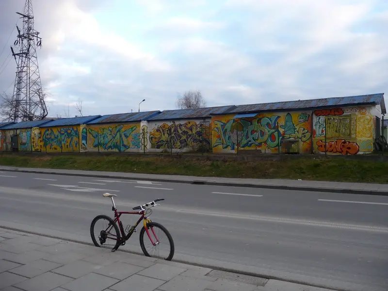 P1010419.webp