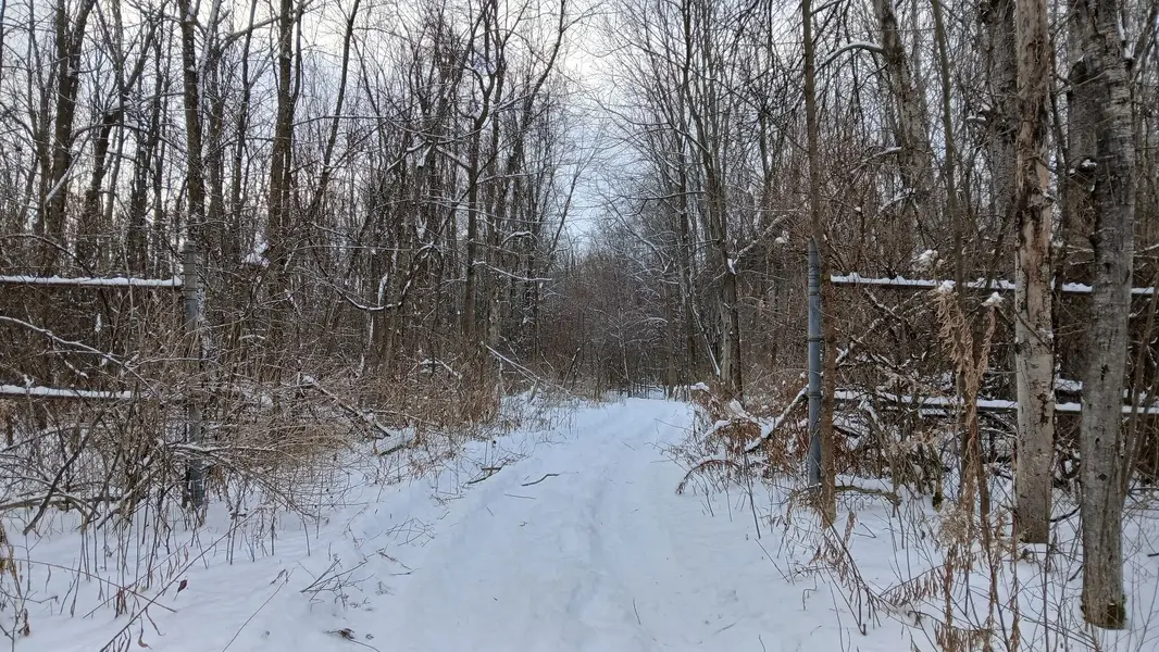 20241226_125128.jpg