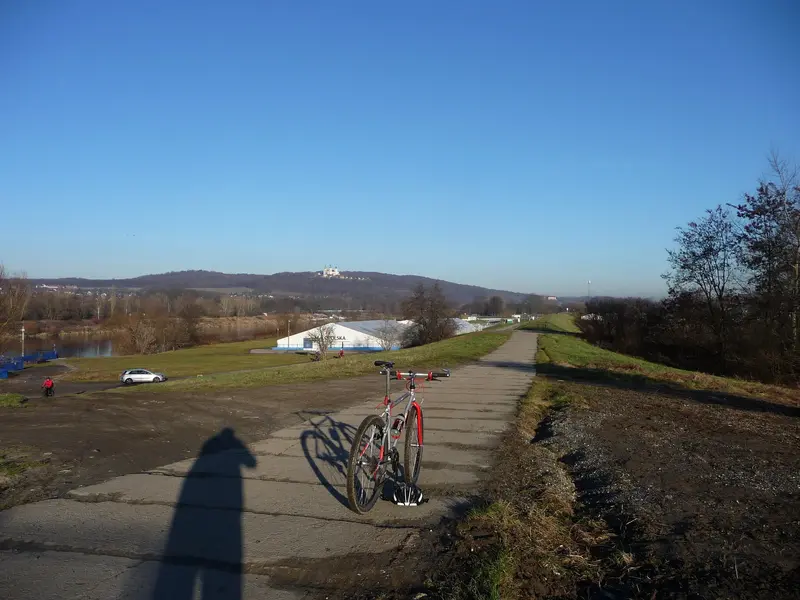 P1010470.webp