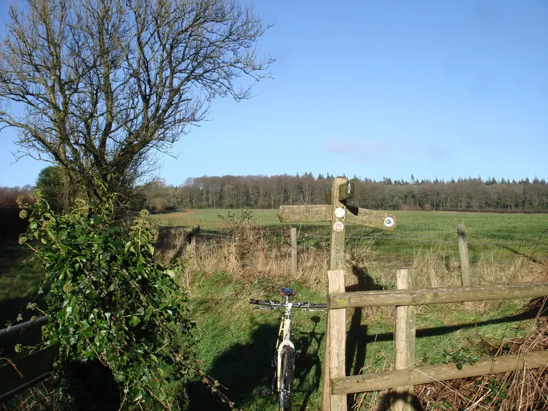 DSC01390.webp