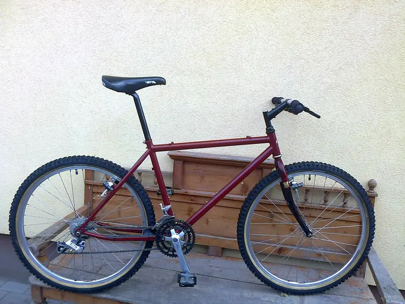 schwinn rescued.webp