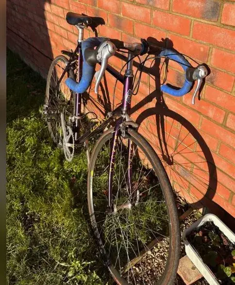 lemond.webp