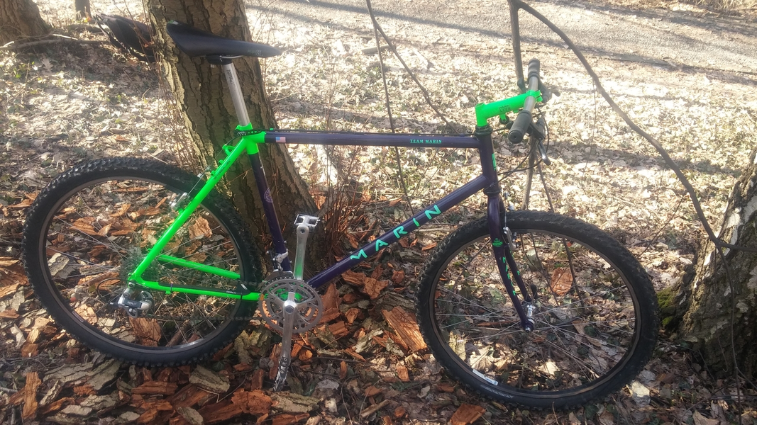 20190217_112642_Easy-Resize.com.webp