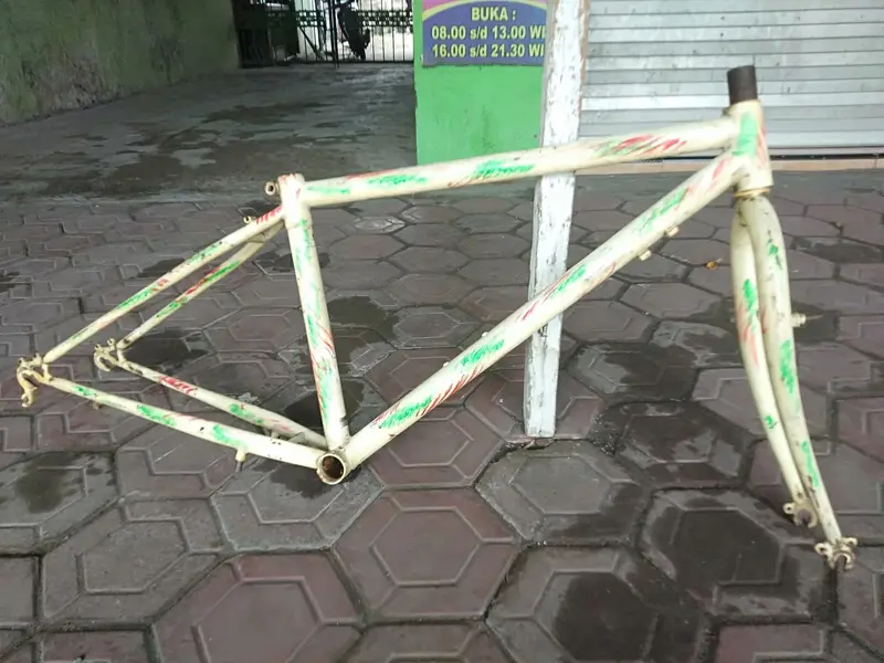 1000135096.webp
