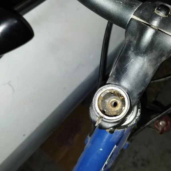 Warp top cap.webp