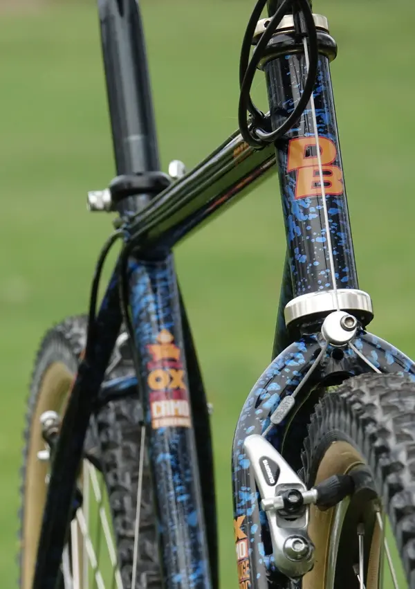 DSC07572_cr1.webp