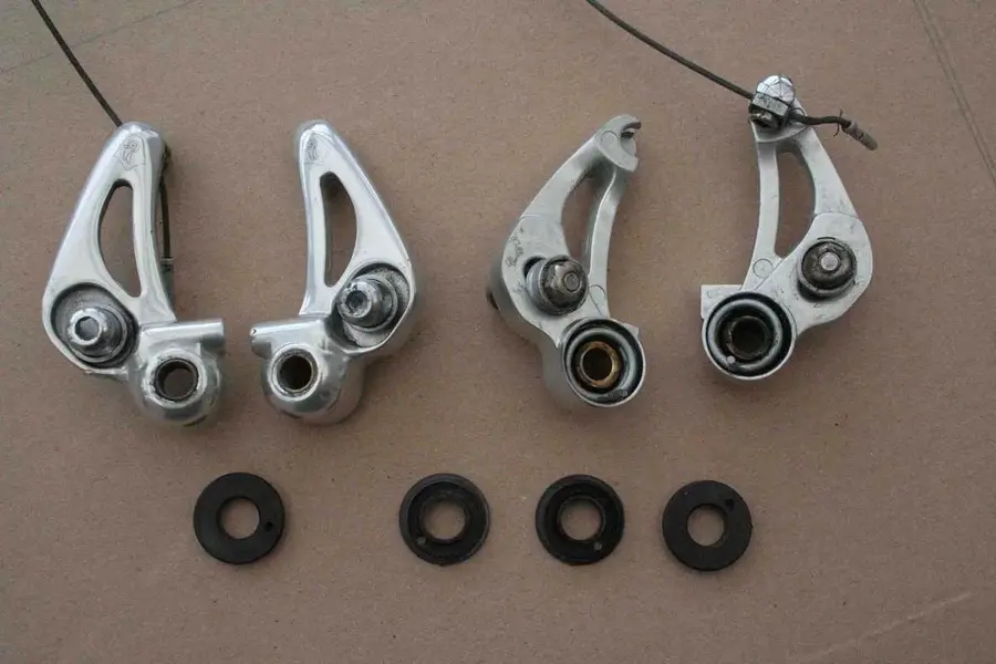 Campag.webp