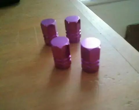Photo-0033_e1.webp