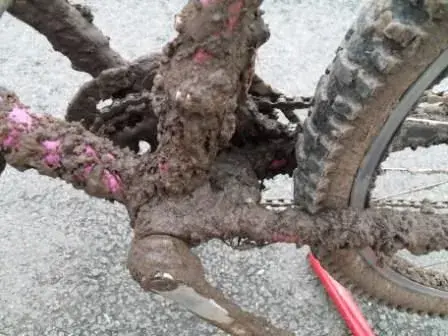 Mud1.webp