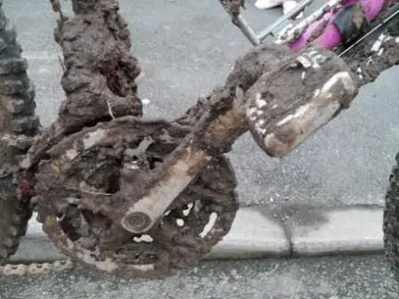 Mud2.webp