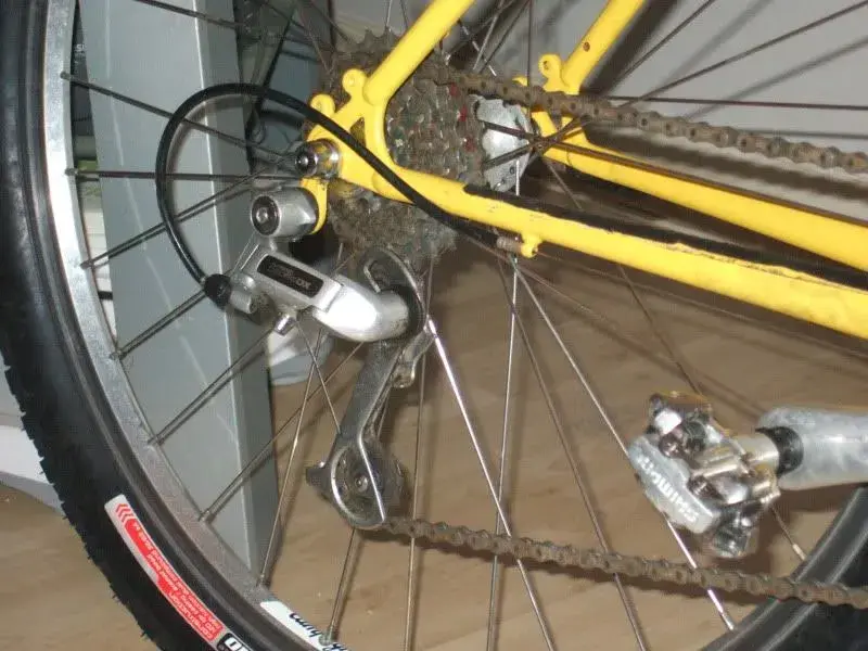 DSCF2456.webp