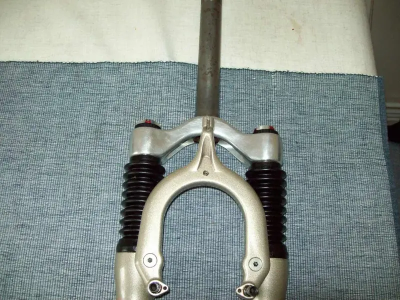 100_0458.webp