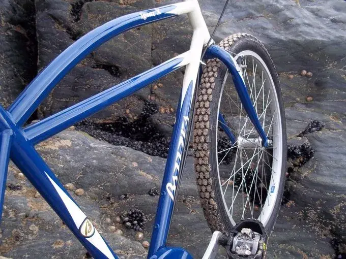 all thanks to Schwinn.webp