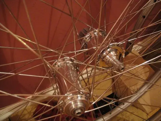 DSC00400.webp