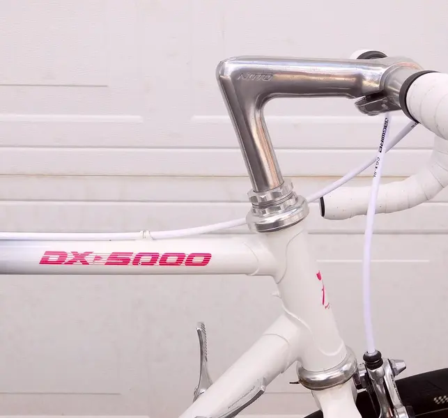 DSCN2164.webp