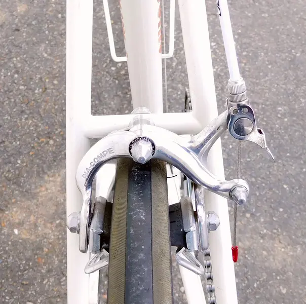 DSCN2199.webp