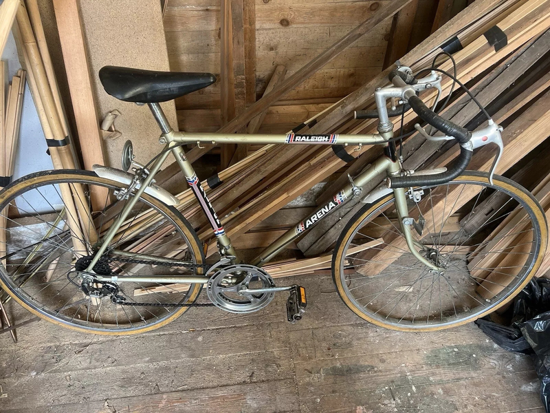RALEIGH ARENA 10 SPEED 1.webp