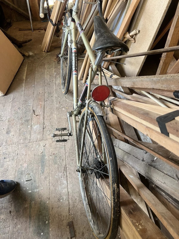RALEIGH ARENA 10 SPEED 3.webp