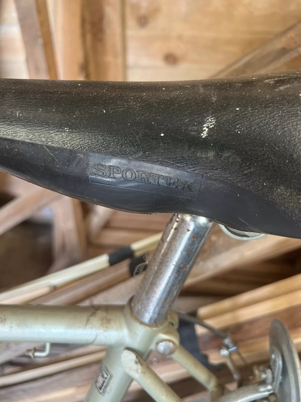 RALEIGH ARENA 10 SPEED 4.webp