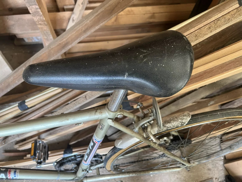 RALEIGH ARENA 10 SPEED 5.webp