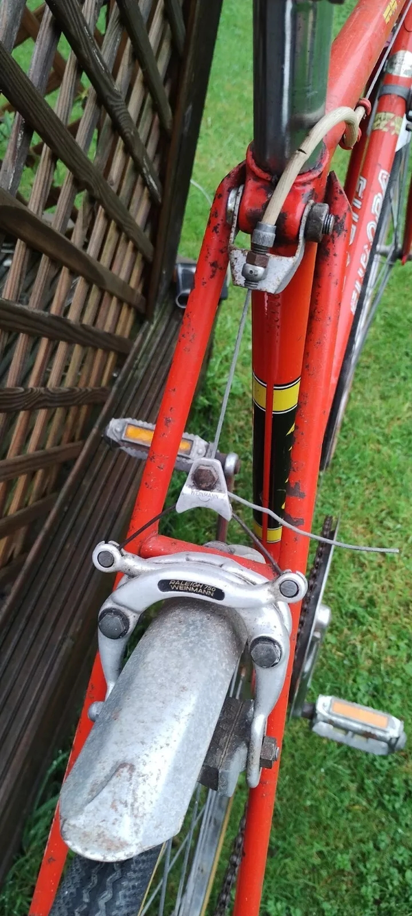RALEIGH EUROPA 4.webp