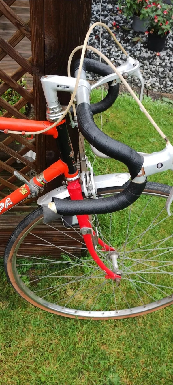 RALEIGH EUROPA 8.webp