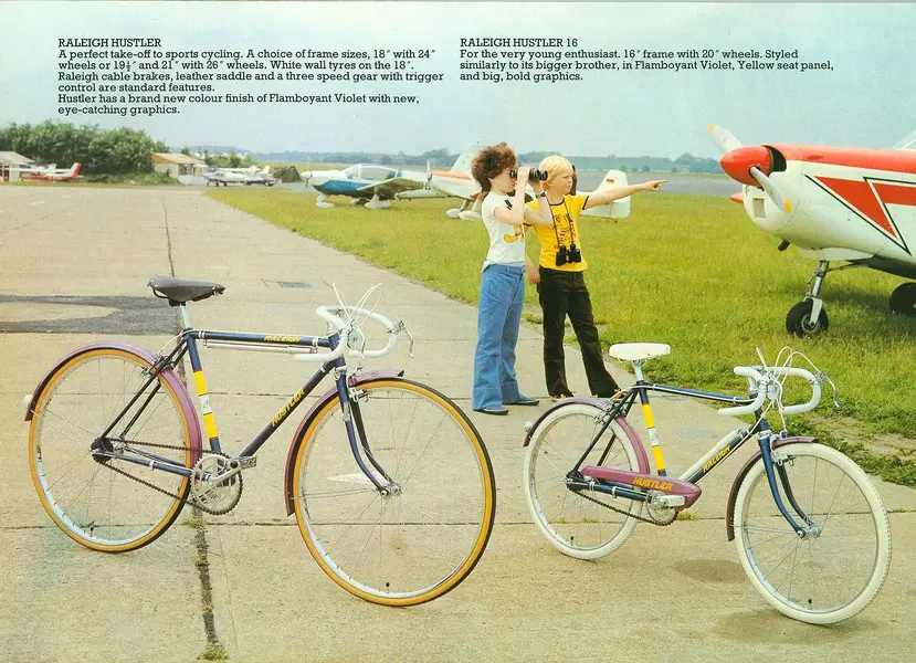 raleigh hustler 5.webp