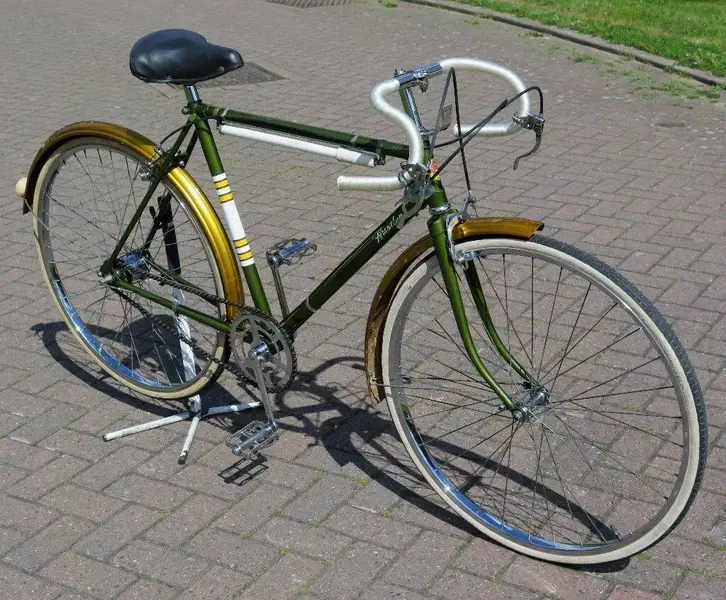 raleigh hustler 1.webp