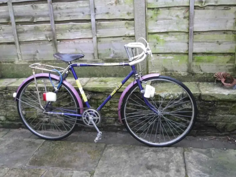 raleigh hustler 2.webp