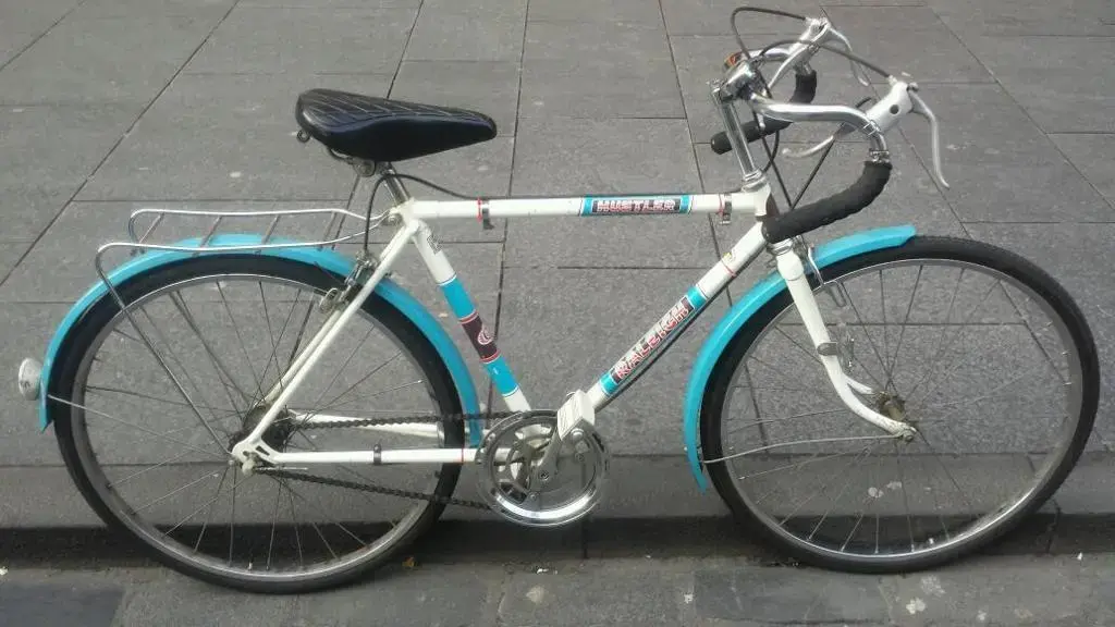raleigh hustler 3.webp