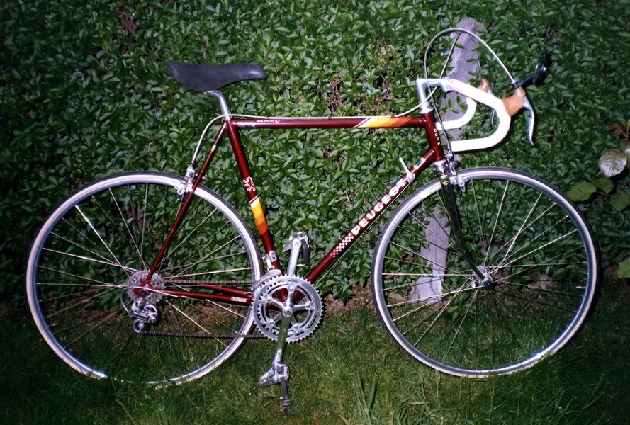 C1984.webp