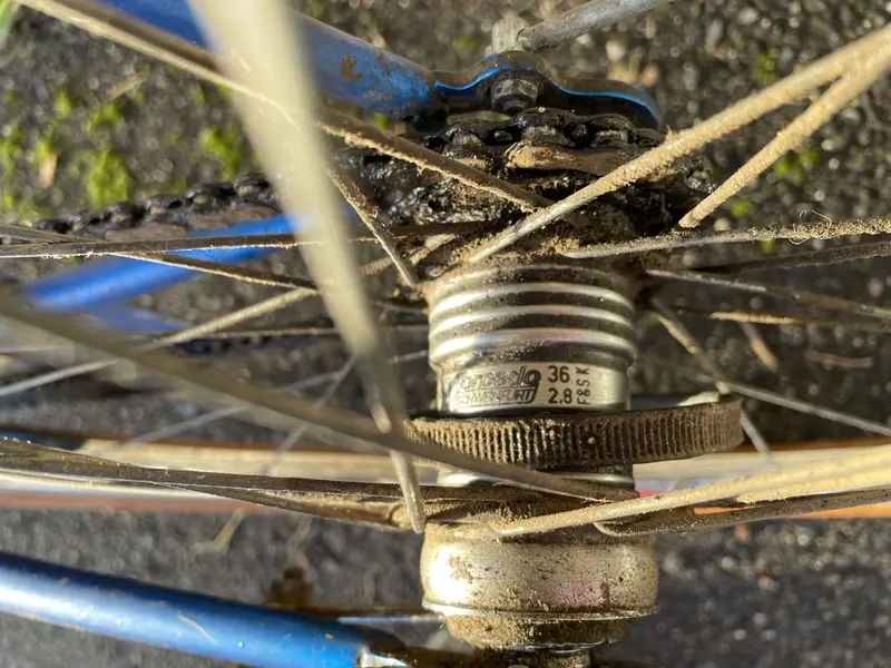 MBPORTEUR7.jpg