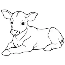 images.webp