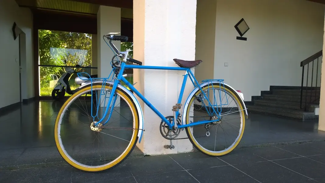 hirondelle.jpg