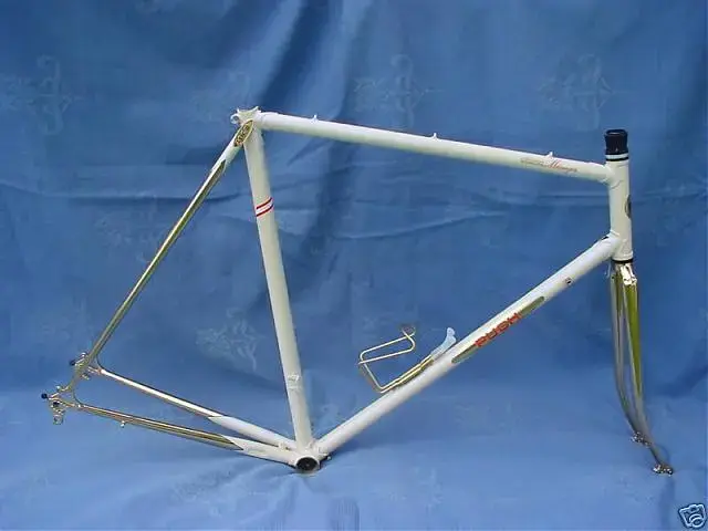 team frame1.webp