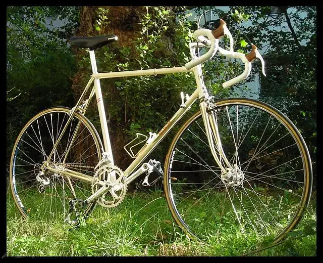 Puch Ultima Goldmana1.webp